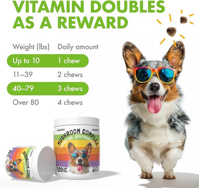 Mushroom Complex Treats for Dogs with Reishi, Shiitake, and Turkey Tail Mushrooms for Cognition and Immune Boosting Supports Digestive Health and Reduces Inflammation DHA EPA Turmeric Kelp 30 Chews