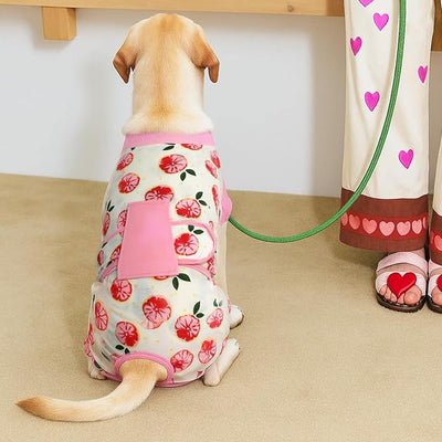 Recovery Suit for Dogs Cats After Surgery, E-Collar & Cone Alternative Surgical Suit, Prevent Licking Dog Onesies Pet Surgery Recovery Suit Soft Dog Bodysuit, Pink, 2XL