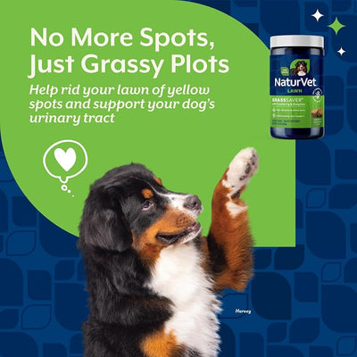 NaturVet – GrassSaver Supplement for Dogs – Healthy Supplement to Help Rid Your Lawn of Yellow Spots – Synergistic Combination of B-Complex Vitamins & Amino Acids – 240 Soft Chews
