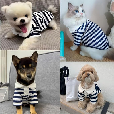 MANON ROSA Dog Clothes, Designer Boy Polo Shirt for Small Medium Dogs, Soft Puppy Outfit, Breathable Male Yorkie Chihuahua Shih Tzu Poodle Kitten Cat T-Shirt, Birthday Gifts - Blue, L, Fit 8.8-12lbs