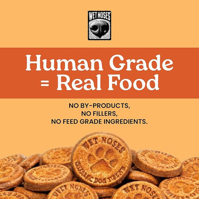 Wet Noses Organic Crunchy Dog Treats Grain Free – All-Natural, Human-Grade, Non-GMO, Healthy Training & Delicious Snacks for Dogs, for All Dog Sizes & Breeds – Pumpkin & Quinoa, 14oz (Single Pack)