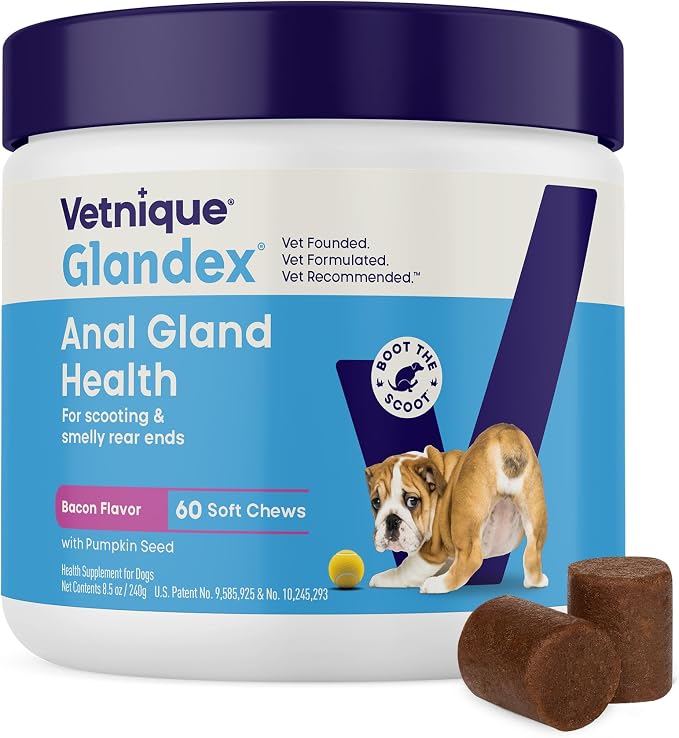 Glandex Anal Gland Soft Chew Treats with Pumpkin for Dogs Digestive Enzymes, Probiotics Fiber Supplement for Dogs Boot The Scoot (Bacon Flavor Chews, 60 Count)