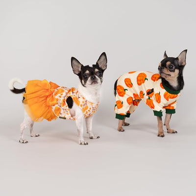 Fitwarm Pumpkin Dog Pajamas, Thanksgiving Outfit for Small Dogs Boy Girl, Fall Pet Clothes, Beige, Orange, Green, Large