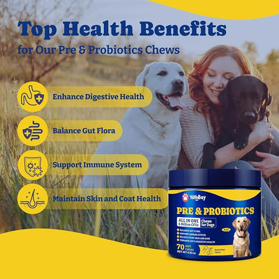 Probiotics for Dogs - Dog Probiotics for Digestive Health, Yeast, Itchy Skin, Gut Health, Immune & Skin - 6 Billion CFUs, 70 Soft Chews, Duck & Pear Flavor - with Prebiotics & Digestive Enzymes