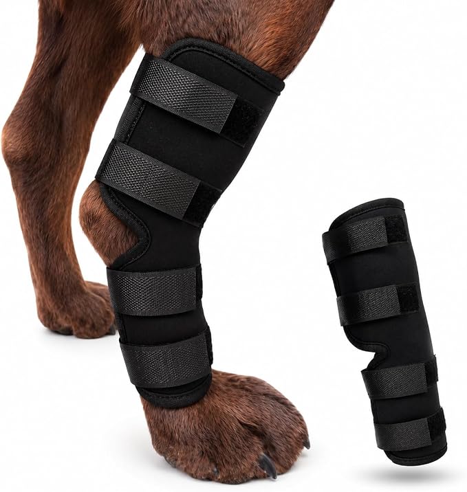 Dog Knee Brace for Hind Leg, Dog Hock Brace for Back Leg Support, Adjustable ACL CCL Brace for Dogs, Rear Leg Support for Joint Stability, Recovery & Mobility, Small Medium Large Dogs (Black, M)