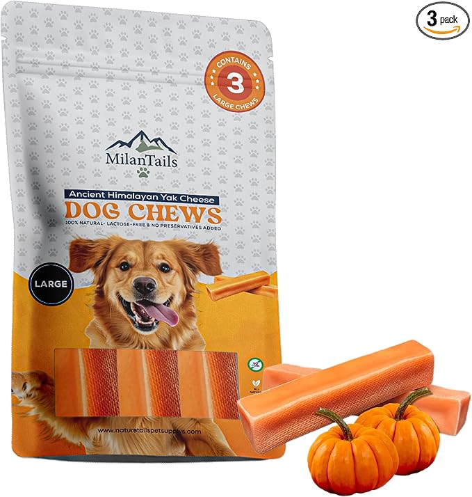 Premium Natural Fruit-Flavored Himalayan Yak Chew for Dogs - 300g, All-Natural, Long-Lasting, Authentic Yak Milk, Healthy Dental Chew (Large, Pumpkin)