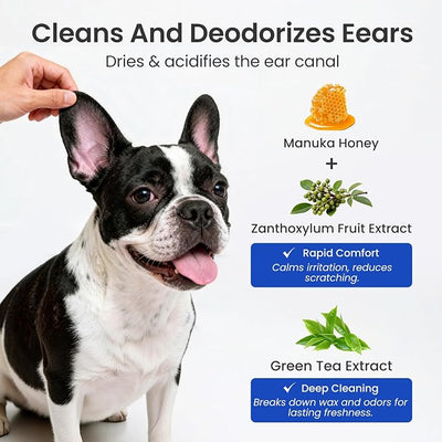Itch Relief Natural Ear Cleaner for Dogs & Cats 8.45 oz – Manuka Honey | pH Balanced, No-Sting, Manuka Honey & Green Tea, Itch Relief, Odor Eliminating, Yeast Prevention for Dogs & Cats