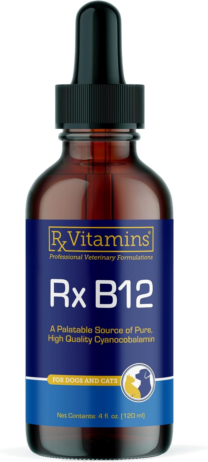 B12 for Dogs and Cats - Dog Digestive Support for Improved Metabolic Process - Pure B12 for Cats to Support Nervous System - Ideal for Your Dog Vitamins and Cat Supplies - 4oz