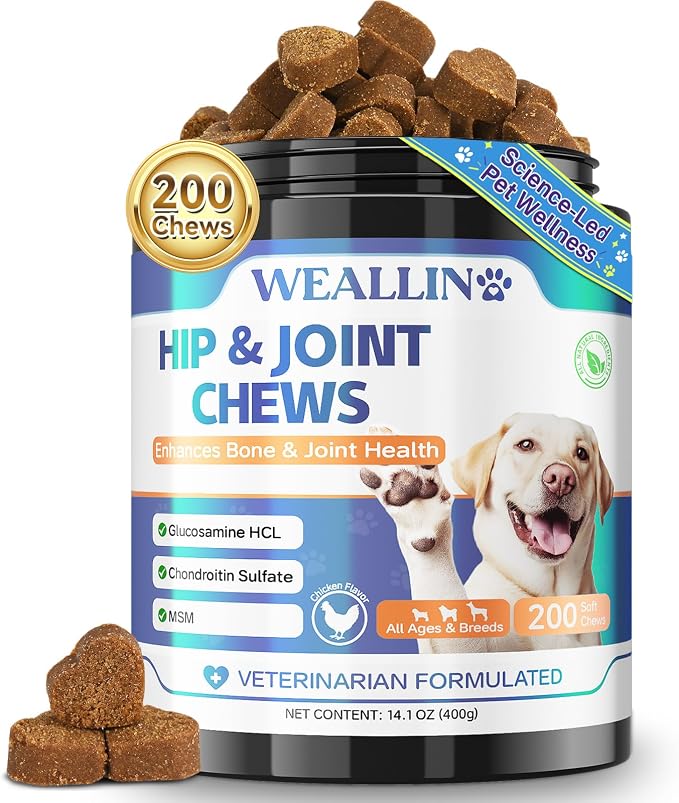 Joint Supplement for Dogs - Dog Joint Supplement Glucosamine Hip and Joint Chondroitin Chews Treats for Dogs with MSM Lipid Mussels Vitamins Dog Joint Support for All Breed 200pcs
