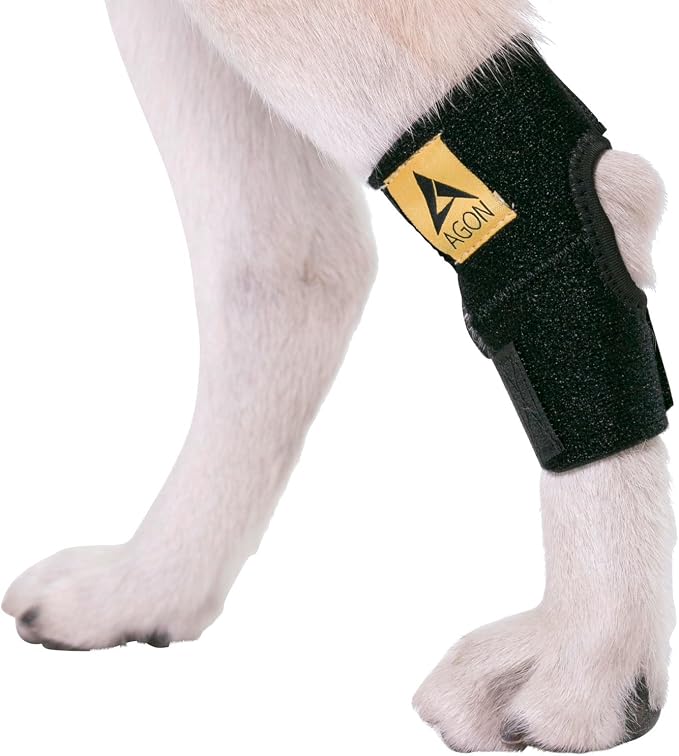 Agon® Dog Leg Braces For Back Leg wrap hock compression protects wounds and helps heal hind legs rear ankle joint, preventing injuries, sprains providing stability for dogs, canine arthritis (X-Small)