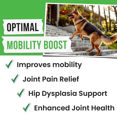 Glucosamine for Dogs - Joints Health Treats w/Omega Fish Oil - Natural Joint Pain Relief - Canine Hip and Joint Supplement w/Chondroitin + MSM + Turmeric + Calcium - 240 Beef Chews