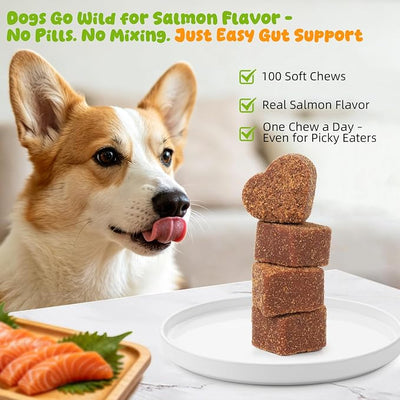 Dog Allergy Relief Chews, Itch Skin Relief for Dogs, Seasonal Allergy Support, Skin Irritation Treatment and Boosts Immunity - Allergy Supplements for Dogs, Salmon Flavor, 100 Soft Chews