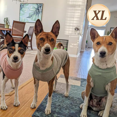KYEESE 2Pack Waffle Dog Shirts, Lightweight Sleeveless Dog T Shirts for Small Medium Dogs Girl, Breathable Pet Vest Comfort Tank Top Soft Dogs Clothes for Daily Wear, Pink+Striped, XL