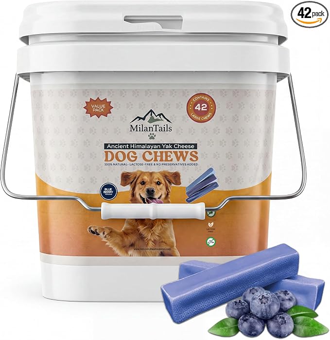 Premium Natural Fruit-Flavored Himalayan Yak Chew for Dogs, All-Natural, Long-Lasting (Large 42 Pack Bucket, Blueberry)