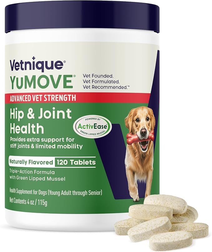 Dog Hip & Joint Supplement, Regular or Advanced Strength - ActivEase Green Lipped Mussel, Glucosamine, Hyaluronic Acid & Omega 3 - Chewable Tablets (120ct Chewable Tablets, Advanced Strength)