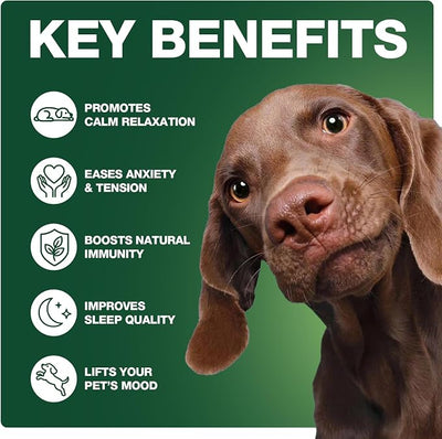 180 Cts Dog Calming Chews, Calming Chews for Dogs, Soft Chews Treats Helps with Strеss, Anxiеty Rеlief, Separation, Barking, Fireworks, Travel, Composure,