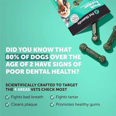 Brush Buddies Long Lasting Dog Dental Chews - All Natural Dental Sticks for Teeth Cleaning Plaque Off + Tartar Remover for Dogs - Dog Dental Treats + Breath Freshener - Small Sized Dogs (25 Count)