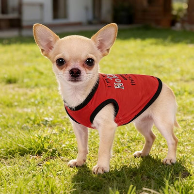 hoyuwak 4 Pieces Pet Shirts Funny Dog Printed Clothes Cool Breathable Puppy Sleeveless Vests Dog Outfit for Summer