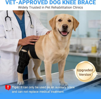 Dog Knee Brace for Back Leg, Adjustable Elbow Braces with Stabilizers, Canine Joint Support for Torn ACL, Luxating Patella, Arthritis, Ligament Injury and Post-surgery Recovery, Universal (S)