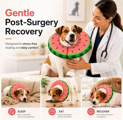 MIDOG Soft Inflatable Dog Cone, Donut E-Collar Alternative for After Surgery, Prevents Licking, Allowing Normal Eating & Vision, Comfortable Recovery Collar for Small Medium Large Dogs & Cats, Red-S
