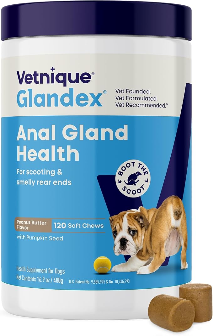 Glandex Anal Gland Soft Chew Treats with Pumpkin for Dogs Digestive Enzymes, Probiotics Fiber Supplement for Dogs Boot The Scoot (Peanut Butter Chews, 120 Count)