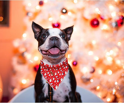 Lionheart Glory Christmas Bandana Kerchief - 1 Pack Washable Soft Scarf, Square Adjustable for Girl or Boy Dogs and Cats