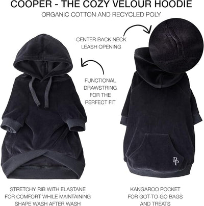 Pet Passion Cooper II Organic Cotton Velour Dog Hoodie Pet Coat for Small, Medium and Large Dogs, Black, Small (10-25 lbs)