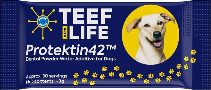 TEEF for Life Protektin42 Prebiotic Dog Dental Powder Refill - 30 Servings (1 Packet) Tasteless Natural Water Additive for Dogs & Puppies, Teeth Cleaning, Bad Breath, Tartar & Plaque, 4-Ingredients