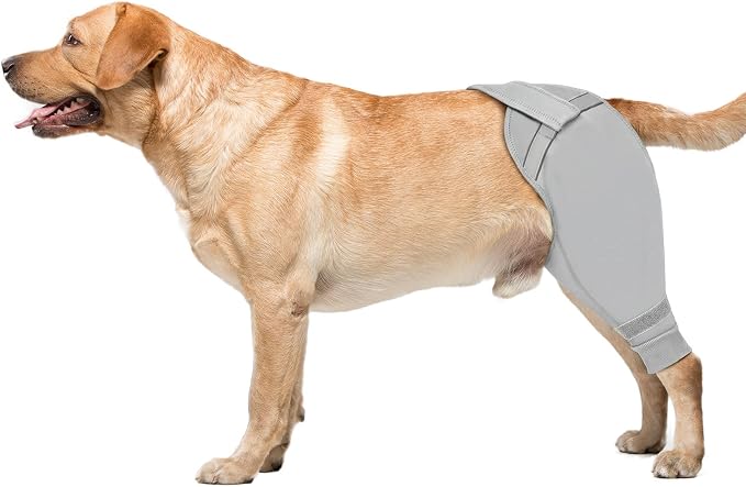 Dog Rear Leg Sleeve to Stop Licking, Upgraded Hind Leg Cover to Stop Slipping, for TPLO Surgery, Skin Conditions, Wounds, Breathable Soft Fabric, Dog Cone Alternative, Right, M, Light Grey