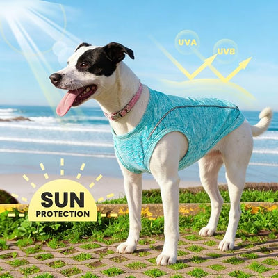 PETCARE Sun Protection Dog Shirts for Small Dogs Quick Dry Soft Stretchy Dog T-Shirts with Reflective Label Tank Top Sleeveless Vest Pet Clothes, Athletic Fabric, Blue, S (Chest 15" Length 11.8")