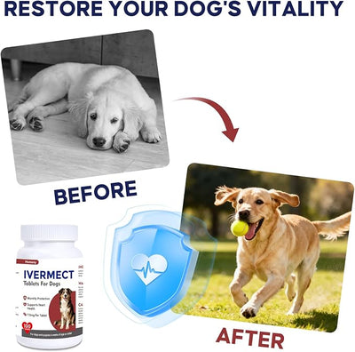 Ivermect Tablets for Dogs, Monthly Heart Health Support, Promotes Cardiovascular Wellness, Circulation & Energy, Canine Wellness Supplement, 100 Tablets