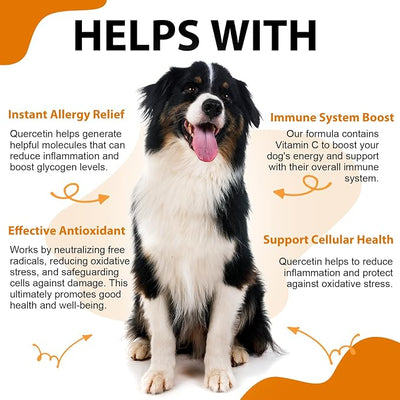 ALIVO Quercetin for Dogs, Dog Quercetin Liquid Drops Supports Dogs Allergy Relief, Dog Herbal Supplement - Pet SuppliesQuercetin for Dog Itch Remedies - 60 ml / 2 fl.oz