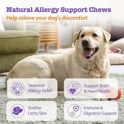 Dog Allergy Chews 200ct, Anti Itch Relief for Dogs Itching Skin Relief Dog Allergy Relief Immunity Chews with Probiotics Colostrum Omega 3 Fish Oil for Dry Itchy Skin Licking Seasonal Allergies