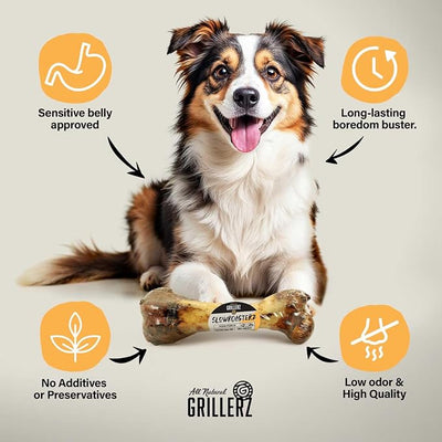 Grillerz Pork Femur, 1 Count, Pork Bones for Dogs, Rawhide Free, Dog Chew for Healthy Teeth & Gums, High Protein, Easy to Digest, Long Lasting, Natural Treats for All Breeds