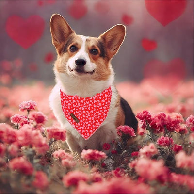 Valentine's Day Dog Bandanas Boy Girl Red Pink Love Cotton Washable Dog Scarf Adjustable Pet Bib Scarves for Small Medium Large Dogs L
