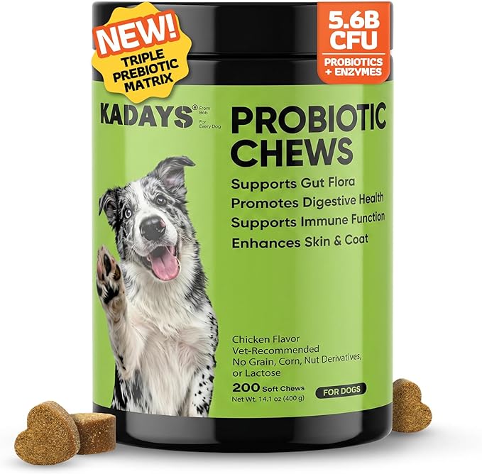 Probiotics for Dogs Probiotics for Digestive Health Dog Gut Health Probiotics Dog for Diarrhea Gut Immune Health Digestive Probiotic Chews for Dogs Itchy Skin Eases Bloating Chicken Flavor 200 Ct