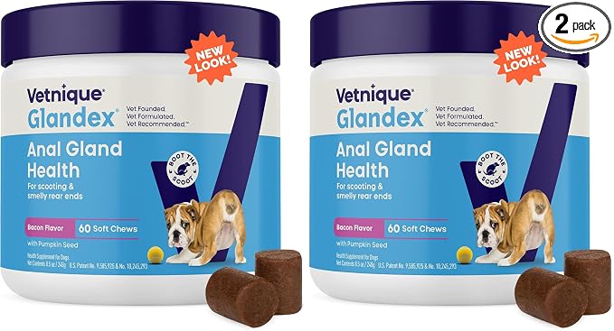 Glandex Anal Gland Soft Chew Treats with Pumpkin for Dogs Digestive Enzymes, Probiotics Fiber Supplement for Dogs Boot The Scoot (Bacon Flavor Chews, 60 Count) (Pack of 2)