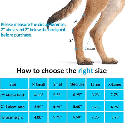 Dog Leg Braces for Back Legs, Canine Hock Brace for Rear Legs with Metal Strips and Safety Reflective Straps, Joint Warps Support Help Hind Legs Injuries Sprains Arthritis (1 Pair)