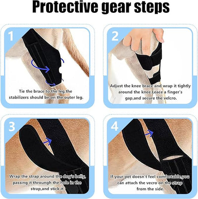 Dog Knee Brace for Torn ACL/CCL & Hind Leg Support - Adjustable Brace for Arthritis Relief, Joint Stability & Injury Recovery - Fits Small & Medium Dogs (XS)