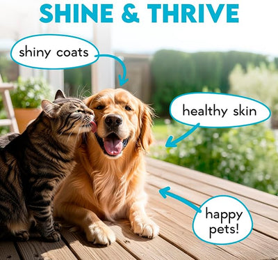Omega 3 Chews for Dogs - 150Pcs - Dog Skin and Coat Supplement - Rich in EPA & DHA Fatty Acids - Itching Skin Relief Chews - Reduce Hair Shedding - Made with Fish Oil - Salmon