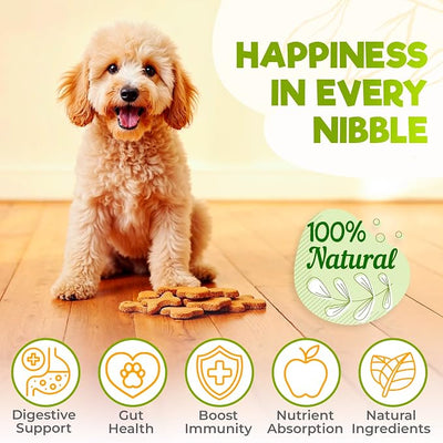 ZENO Probiotics for Dogs Chews - 150 pcs - Digestive & Gut Health Support - Probiotic Chews for Dogs with Enzymes & Natural Ingredients - Vet-Approved US Formula - Beef Flavored