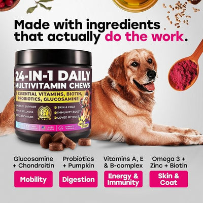 24-in-1 Dog Multivitamin Chews – Dog Vitamins and Supplements with Glucosamine, Chondroitin, Probiotics, Salmon Oil, Biotin – Daily Mobility, Digestion, Skin and Coat Support, Beef Flavor