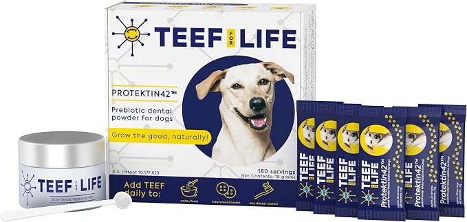 Protektin42 Plant-Derived Prebiotic Dental Powder for Dogs, Daily Dental Care, Clinically-Proven Formula Naturally Fights Plaque and Tartar, Dental Kit with 180 Servings