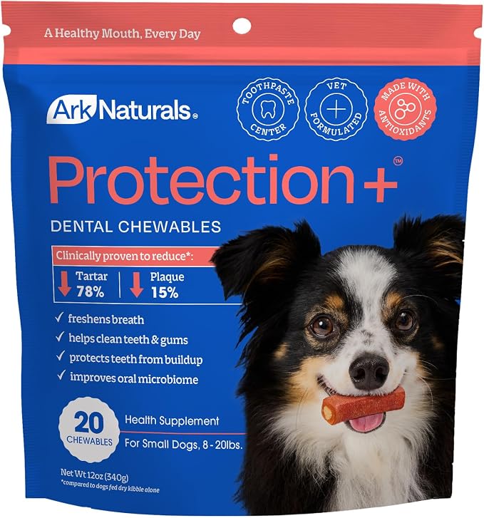 Brushless Toothpaste Protection Plus Small, 12 Ounce