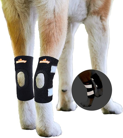 NeoAlly Cat and Dog Ankle Brace Pair Canine Rear Leg Hock Support with Safety Reflective Straps for Hind Leg Wounds Heal and Injuries and Sprains from Arthritis (M Pair)