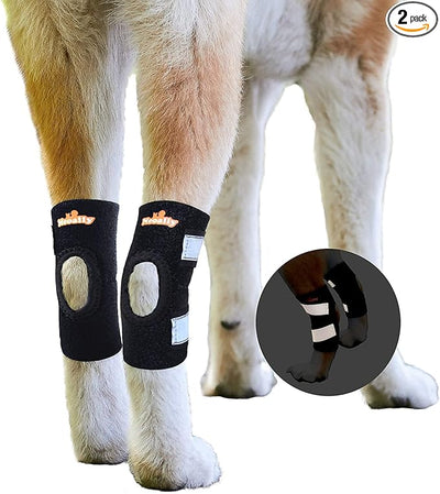 NeoAlly Dog Canine Braces for Rear Legs Super Supportive with Dual Metal Spring Inserts to Stabilize Dog Hind Legs, Help Dogs with Injuries, Sprains, Arthritis, ACL (XL Pair)