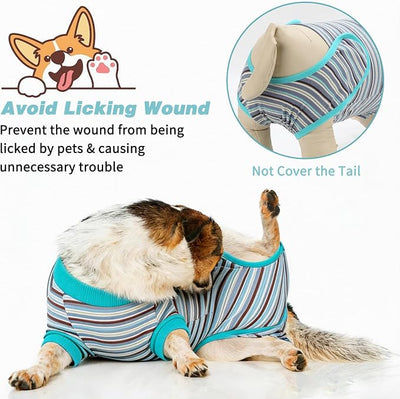 2 Packs Breathable Cotton Dog Recovery Suit for After Neuter Spay Abdominal Wounds Protector, Professional Anti-Licking Onesies for Male Female Pets Surgery Bandages, 2XL Blue Purple