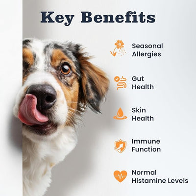 Dog Allergy Relief Immunity Chews 300 Ct, Itching Skin Relief Chews Colostrum Probiotics & Omega 3 - Seasonal Allergies Skin & Hair, Gut, Immune-All Ages & Sizes Dogs Made in USA Chicken Flavor