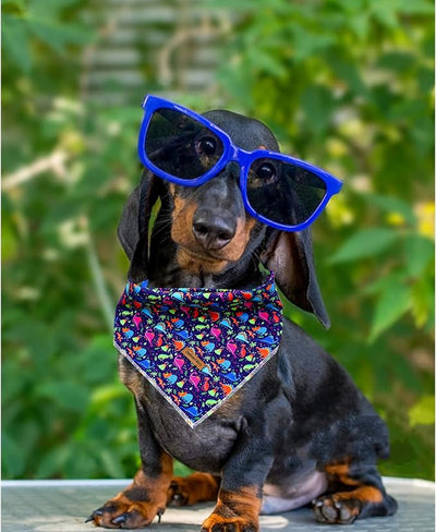 Lionheart Glory Dinosaurs Bandana - Washable Soft Dog & Cat Scarf, Square Adjustable Bandana for Small Pets