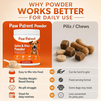 Green Lipped Mussel, Paw Parent Secret Powder, Promotes Healthy Movement and Active Play, Great-Tasting Formula for All Breeds (1pcs)